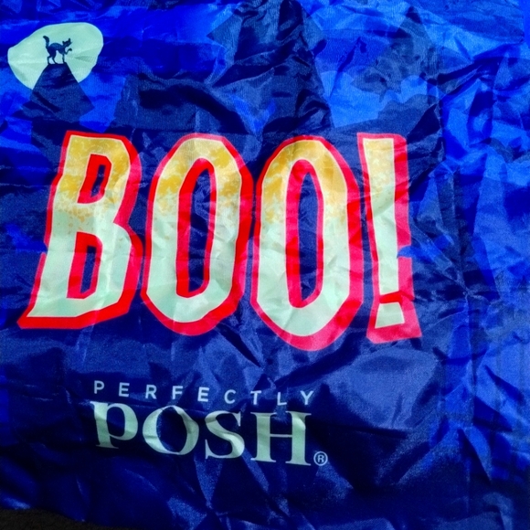 Perfectly posh reusable fold up shopping bag Halloween tote limited edition - Picture 1 of 7
